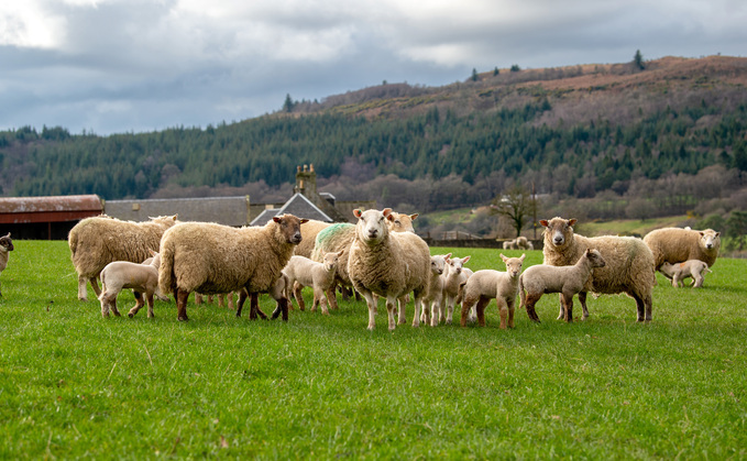 Changing climate demands new approach to parasite control
