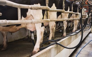 Ireland leads the way with EU carbon farming framework