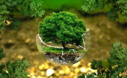 Sustainable funds see outflows for first time since March 2020