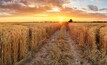 Innovation key to Ag expansion and survival