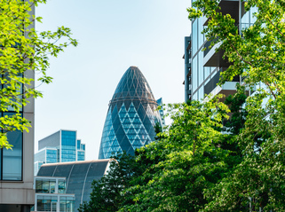 Maintain momentum or 'back to the future': What next for the Net Zero Banking Alliance?