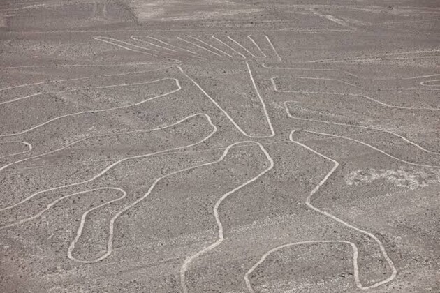 Tourist plane crash leaves 13 dead near Nazca Lines in Peru
