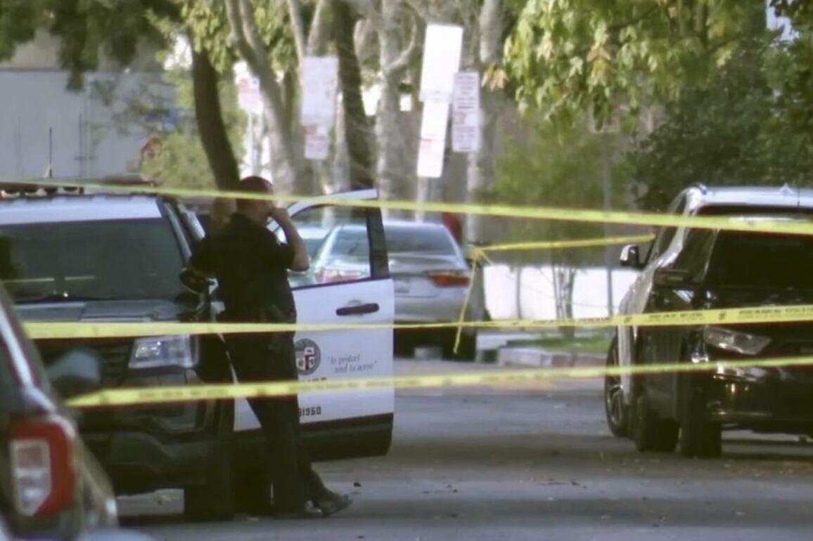Trashy Lingerie co-owner killed brother to save elderly mom in 'justifiable homicide'