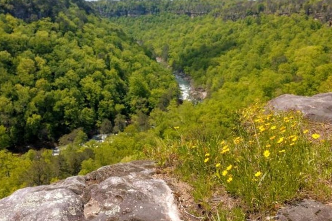 North Alabama tourism flourishes with $4.9 billion in visitor spending