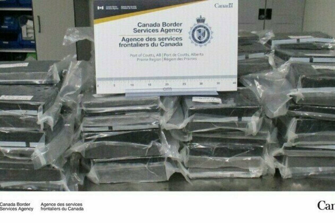 Calgary resident arrested with 108 kg of cocaine at Coutts port of entry