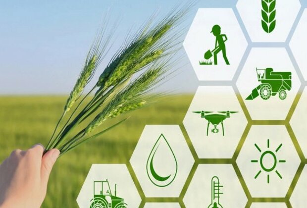 Technology can shape up agriculture in emerging economies for food security: World Economic Forum