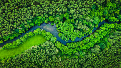 Artificial Intelligence – the environment's ally