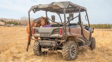 Side-by-sides overtook quads as the leading agent causing on-farm fatalities last year, despite often being considered as the safer alternative. 