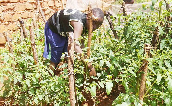 Steven Kakonge ng'ali mu nnyaanya ze yasimba awaka Steven Kakonge ng'ali mu nnyaanya ze yasimba awaka