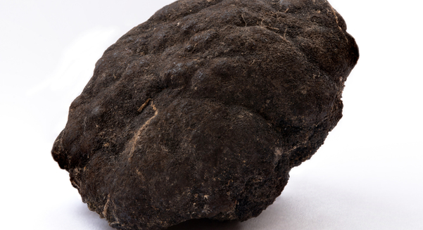 A polymetallic nodule from the Pacific Ocean