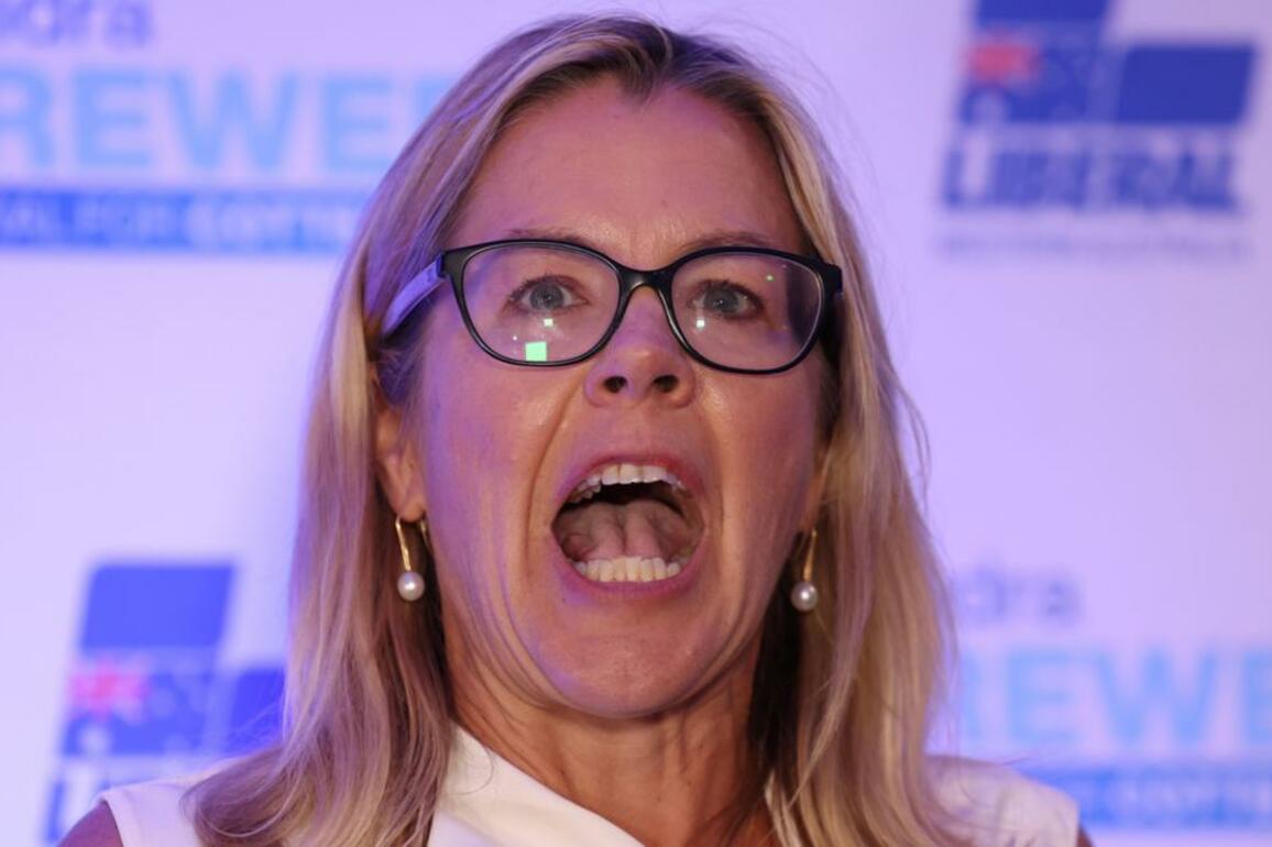 Joe Spagnolo- Libby Mettam must keep health in Liberal shake-up