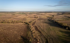 Eight businesses join UK's first rewilding buyers club