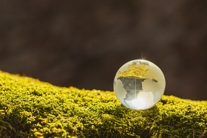 Capturing value in biodiversity solutions