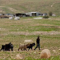 Palestinian abducted and restrained in West Bank 