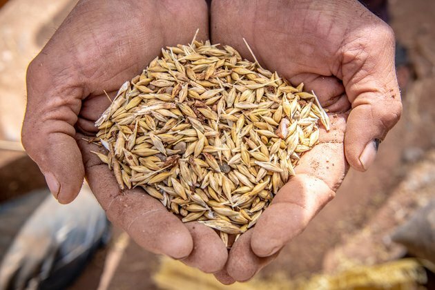 Ukraine grain deal not enough &#039;for starving countries&#039; Moscow