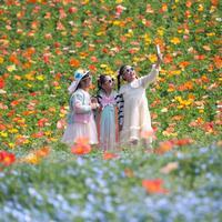 Students embrace first spring break around Qingming Festival