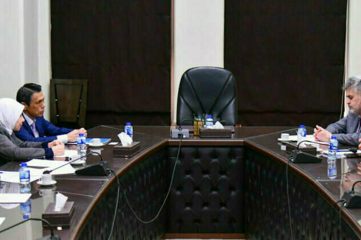Health Ministry, UNICEF discuss joint cooperation