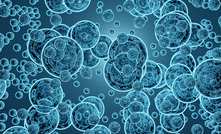  The nanobubbles will be combined with BASF's LixTRA reagent