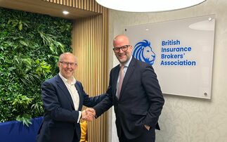 BIBA names chair for advisory board