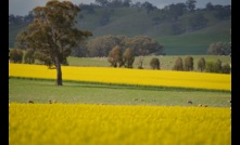  A national biosecurity discussion paper is seeking public input. Picture Mark Saunders