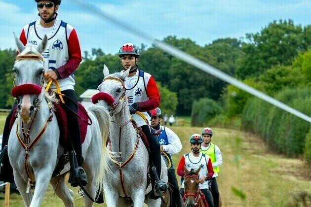 Emirati Knights compete in FEI Endurance World Championship for Young Horses in Italy