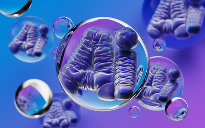 AI optimism clashes with bubble concerns