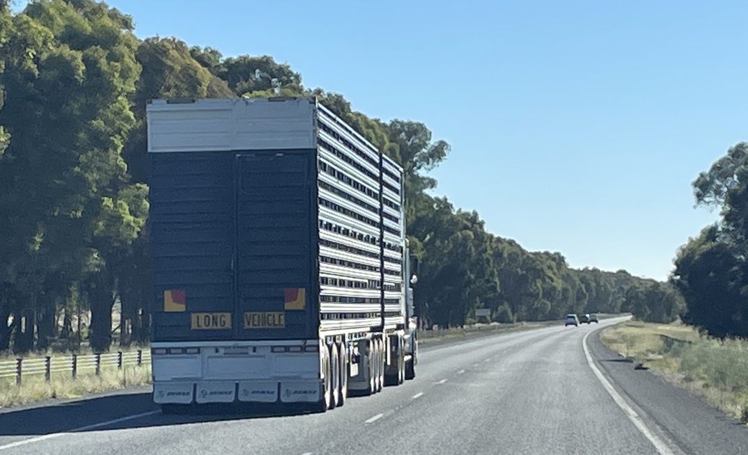 The NHVR is asking livestock transporters to get familiar with the latest Master Code for heavy vehicles including Chain of Responsibility actions. 