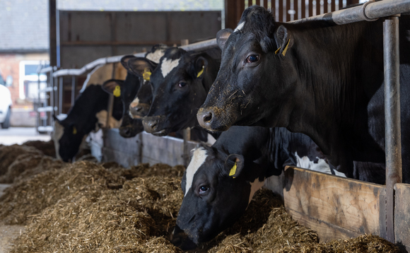 Partner Insight: A closer look at the science behind optimising your herd health