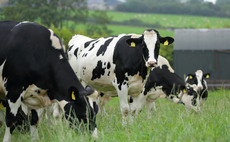 Livestock should be seen as part of climate solution according to new report