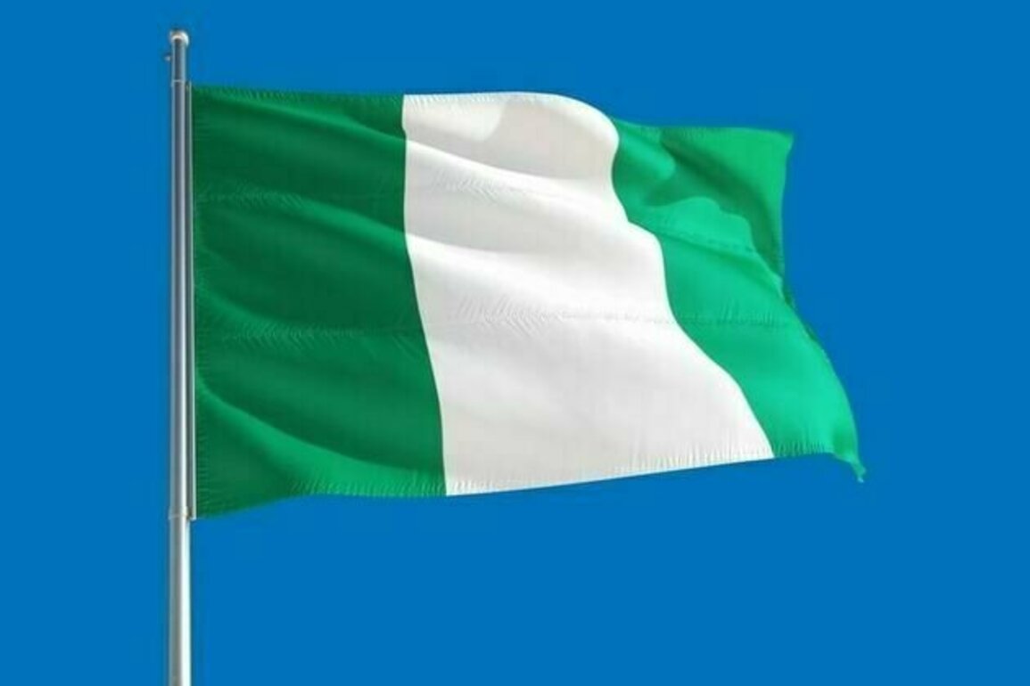 Nigerian troops kill 23 suspected terrorists