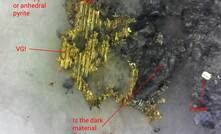 Visible gold from New Found Gold's Queensway discovery in Newfoundland, Canada