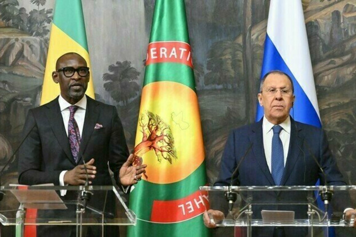 Ukraine sponsor of terrorism  Malian FM