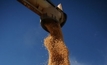 WA farmers take Supreme Court action over failed grain pool
