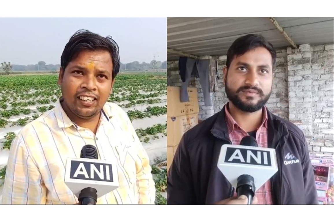 Urban e-commerce boosts rural farmers' income in UP's Sambhal with rising strawberry demand
