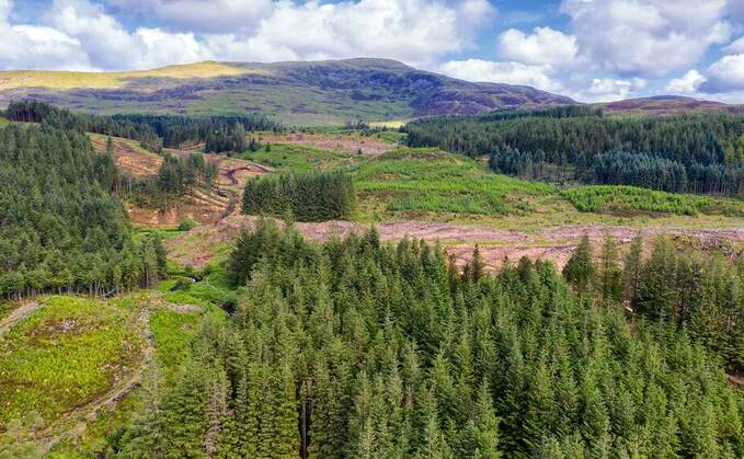 "What an absolute waste of taxpayers money" - Scottish Government under fire for land purchase