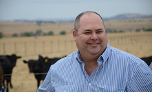 Cattle Council boss to step down