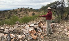  The mineralised zone at Sonoro Metals' Cerro Caliche gold project in Sonora State, Mexico