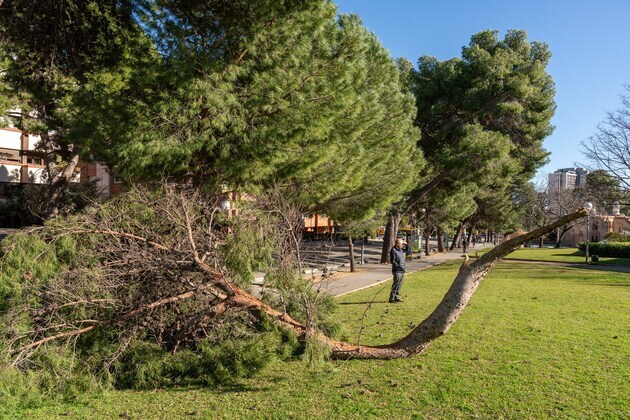 SPAIN-BARCELONA-STORM NILS-STRONG WINDS