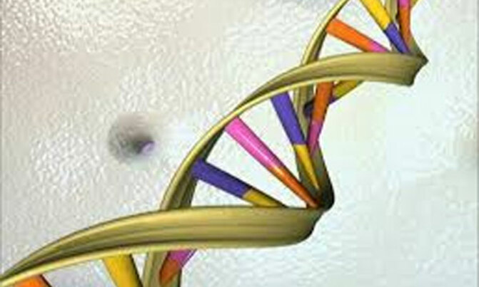 Biggest catalogue of DNA variants yields its secrets Biggest catalogue of DNA variants yields its secrets