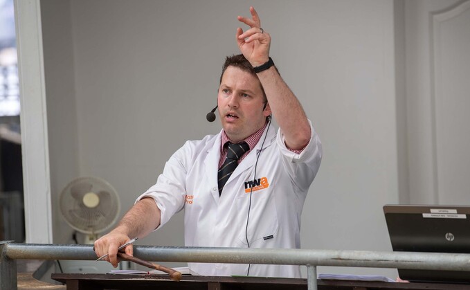 Matt Probert: "I would like to think that the nation will continue to back British farming" Matt Probert: "I would like to think that the nation will continue to back British farming"