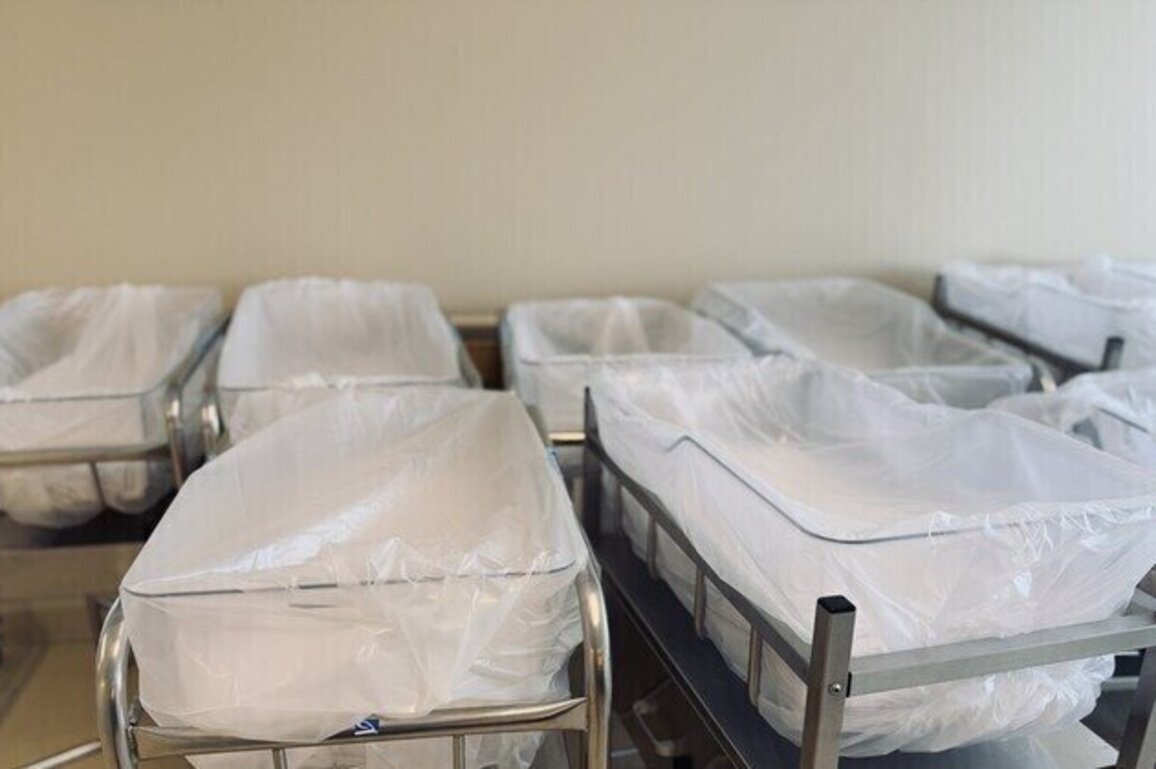 US facing historic low birth rates