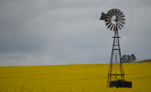 The value of farm land appears to have peaked, according to the latest Bendigo Bank Agribusiness report. 