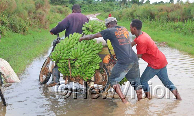 COVID-19: IMF approves $491.5m package for Uganda COVID-19: IMF approves $491.5m package for Uganda