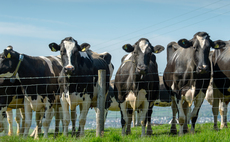 ż invited to take part in field trials for cattle TB vaccine and new skin test