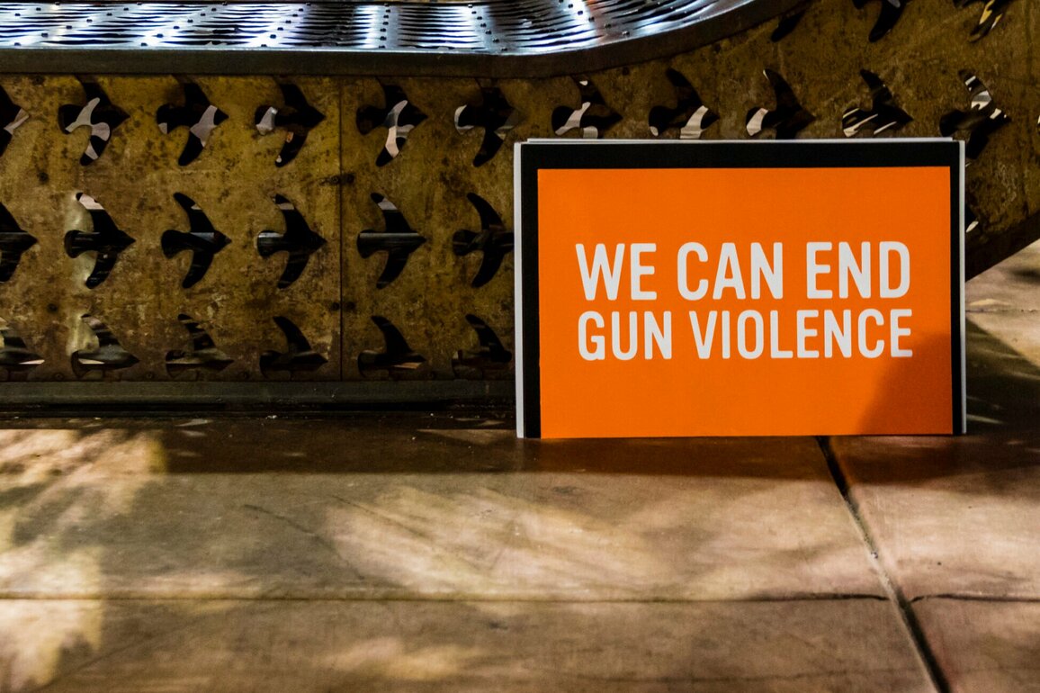 Nevada Senate Hears Democrat-Backed Gun Legislation