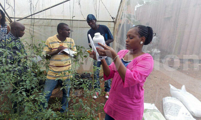 'Talk' to your crops, chase away pests 'Talk' to your crops, chase away pests