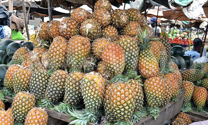 Supply of pineapples expected to increase Supply of pineapples expected to increase