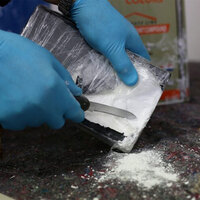 Attempt to smuggle millions worth of cocaine through Haifa Port thwarted