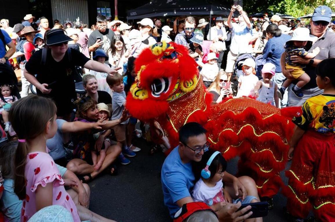 Year of the Horse comes alive in Australia's Canberra