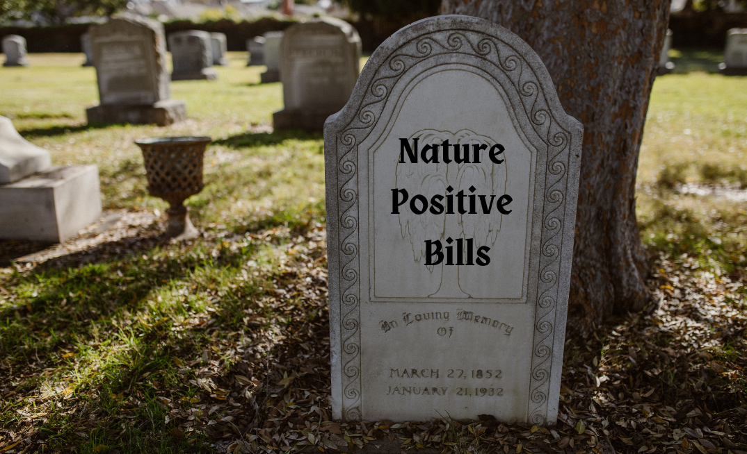 Labor says the Nature Positive Bills are dead